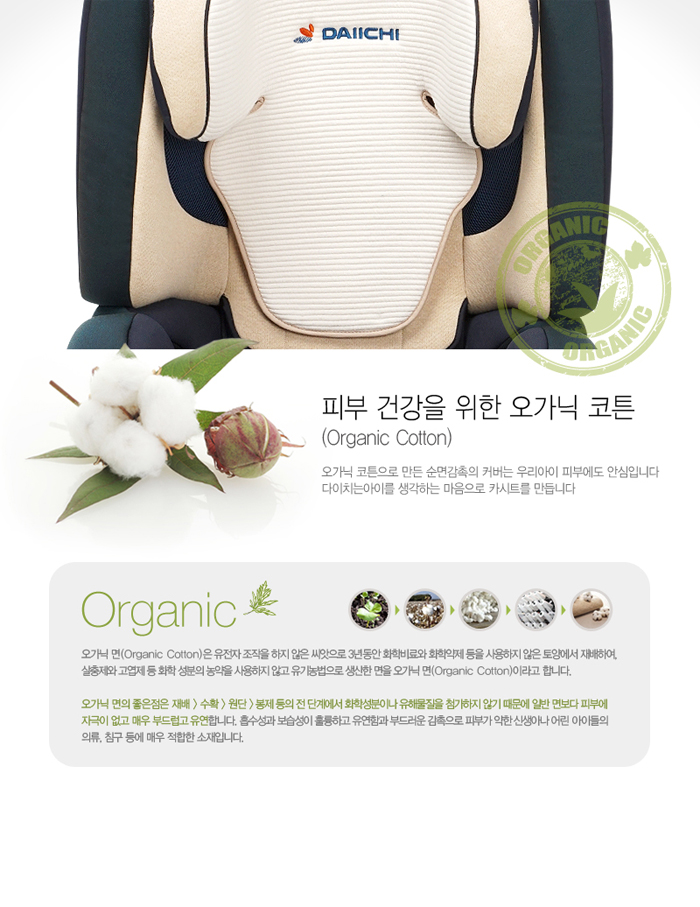 junior_orga_mint_13.jpg